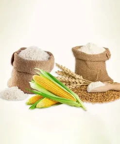 01 - চাল ও খাদ্যশস্য