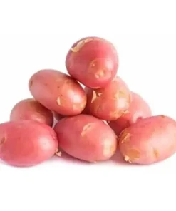 আলু (লাল), ৫ কেজি (±১০০ গ্রাম)